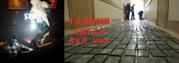 индика Беломорск