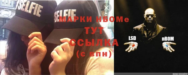 индика Беломорск