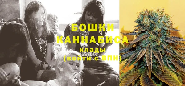 индика Беломорск
