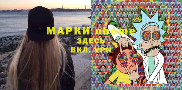 индика Беломорск
