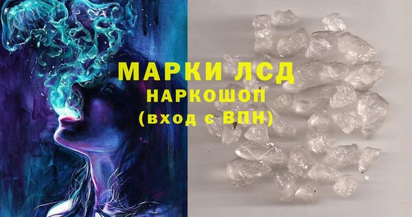 индика Беломорск