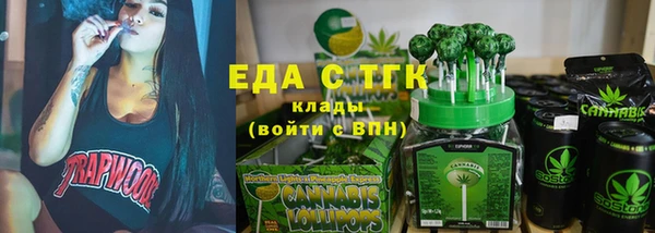 индика Беломорск