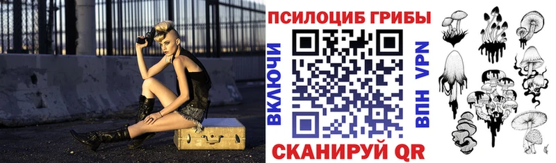 Псилоцибиновые грибы Psilocybe  Кириллов 